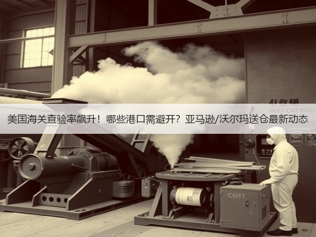 美国海关查验率飙升!哪些港口需避开?亚马逊/沃尔玛送仓最新动态(图2) 美国海关查验率飙升!哪些港口需避开?亚马逊/沃尔玛送仓最新动态(图2)