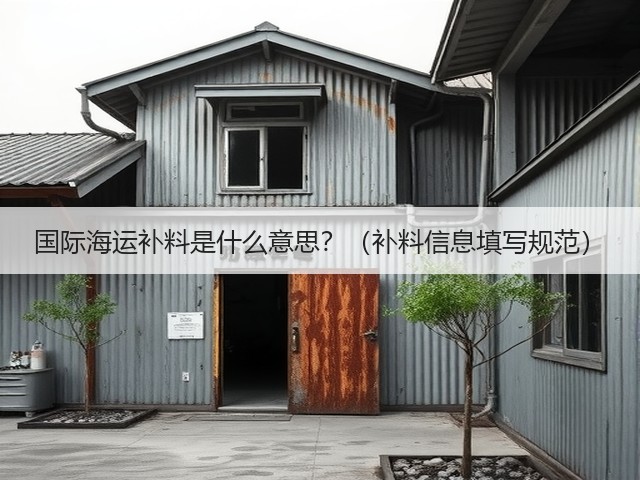 国际海运补料是什么意思?(补料信息填写规范)(图2) 国际海运补料是什么意思?(补料信息填写规范)(图2)