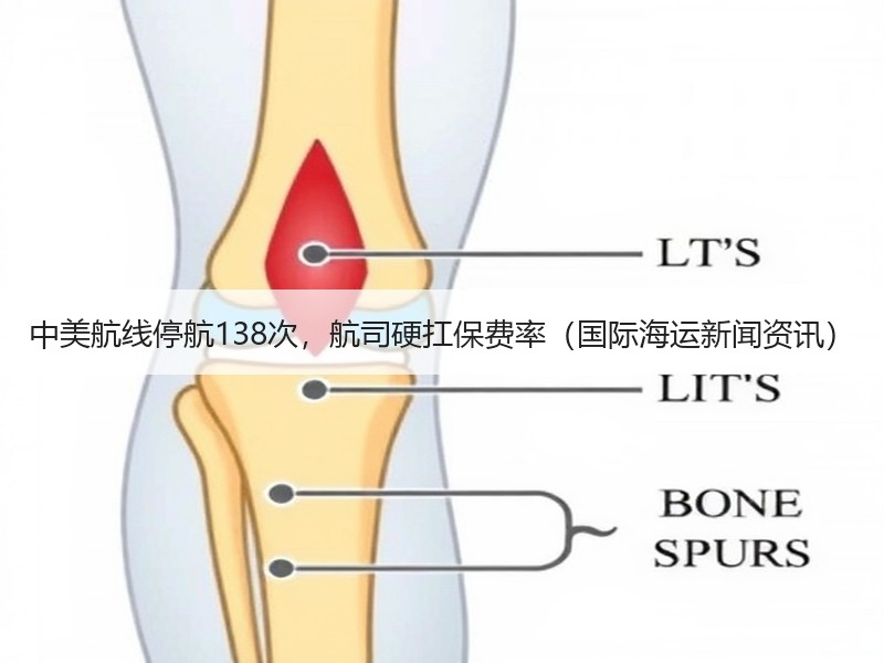 中美航线停航138次,航司硬扛保费率(国际海运新闻资讯) 中美航线停航138次,航司硬扛保费率(国际海运新闻资讯)