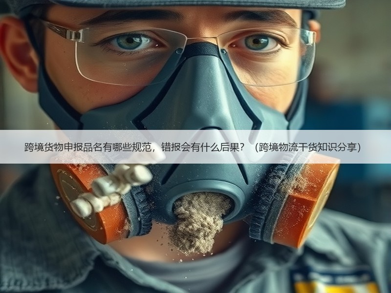 跨境货物申报品名有哪些规范，错报会有什么后果？（跨境物流干货知识分享）