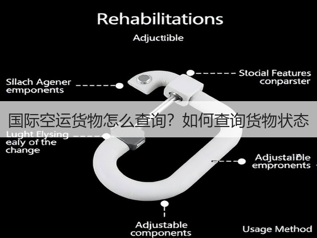 国际空运货物怎么查询?如何查询货物状态(图3) 国际空运货物怎么查询?如何查询货物状态(图3)