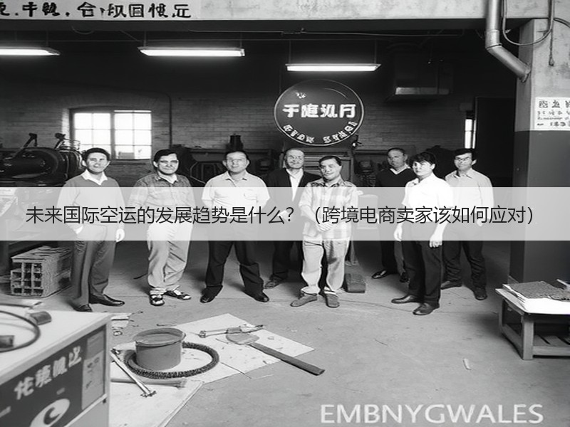 未来国际空运的发展趋势是什么？（跨境电商卖家该如何应对）