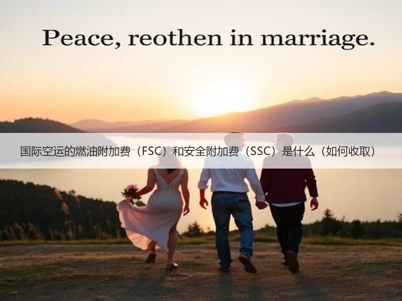 国际空运的燃油附加费（FSC）和安全附加费（SSC）是什么（如何收取）