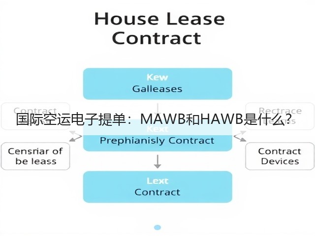 国际空运电子提单:MAWB和HAWB是什么?(图3) 国际空运电子提单:MAWB和HAWB是什么?(图3)