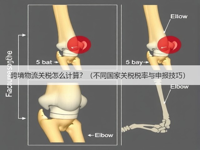 跨境物流关税怎么计算？（不同国家关税税率与申报技巧）(图3)