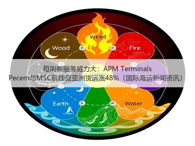 每周新服务威力大:APM Terminals Pecem与MSC航线促亚洲货运涨48%(国际海运新闻资讯)(图3) 每周新服务威力大:APM Terminals Pecem与MSC航线促亚洲货运涨48%(国际海运新闻资讯)(图3)