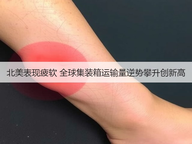 北美表现疲软 全球集装箱运输量逆势攀升创新高(图3) 北美表现疲软 全球集装箱运输量逆势攀升创新高(图3)