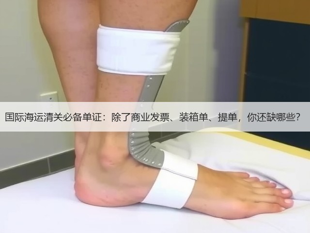 国际海运清关必备单证:除了商业发票、装箱单、提单,你还缺哪些?(图3) 国际海运清关必备单证:除了商业发票、装箱单、提单,你还缺哪些?(图3)
