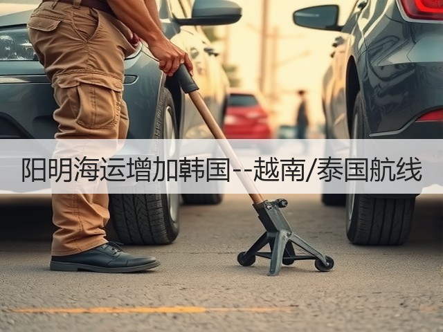 阳明海运增加韩国--越南/泰国航线(图2) 阳明海运增加韩国--越南/泰国航线(图2)
