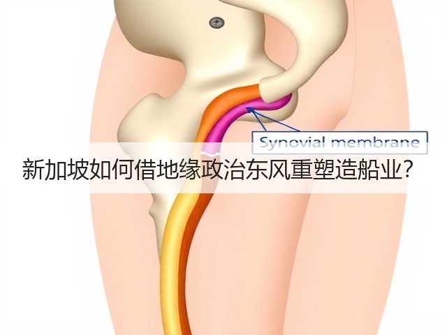 新加坡如何借地缘政治东风重塑造船业?(图3) 新加坡如何借地缘政治东风重塑造船业?(图3)