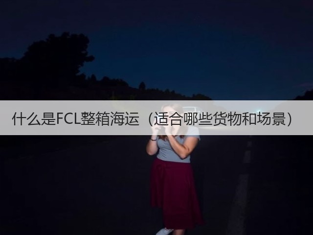 什么是FCL整箱海运(适合哪些货物和场景)(图2) 什么是FCL整箱海运(适合哪些货物和场景)(图2)