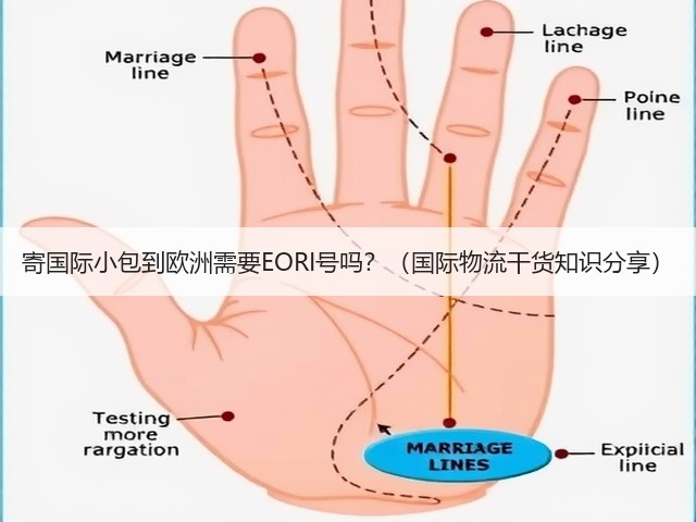 寄国际小包到欧洲需要EORI号吗?(国际物流干货知识分享)(图2) 寄国际小包到欧洲需要EORI号吗?(国际物流干货知识分享)(图2)
