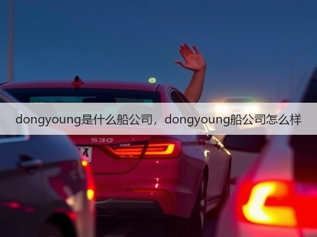 dongyoung是什么船公司，dongyoung船公司怎么样(图1)