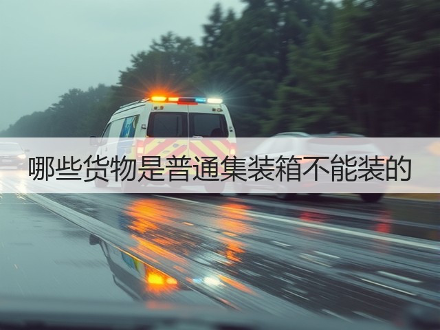 哪些货物是普通集装箱不能装的(图1) 哪些货物是普通集装箱不能装的(图1)