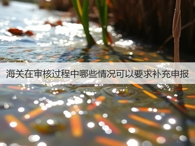 海关在审核过程中哪些情况可以要求补充申报(图1) 海关在审核过程中哪些情况可以要求补充申报(图1)