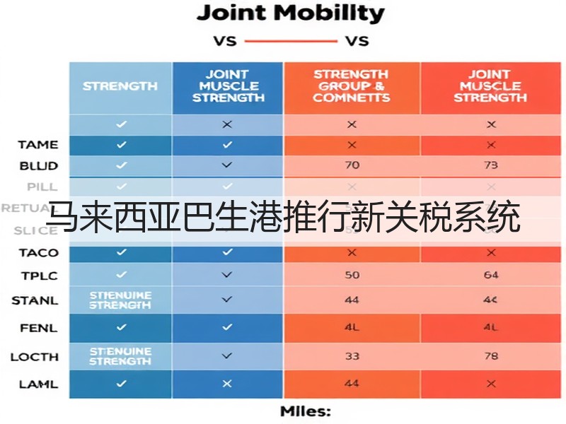 马来西亚巴生港推行新关税系统