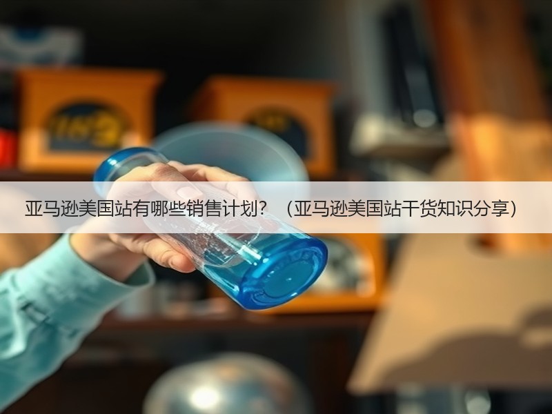 亚马逊美国站有哪些销售计划？（亚马逊美国站干货知识分享）