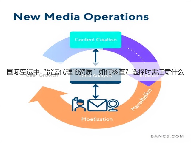 国际空运中“货运代理的资质”如何核查?选择时需注意什么(图1) 国际空运中“货运代理的资质”如何核查?选择时需注意什么(图1)