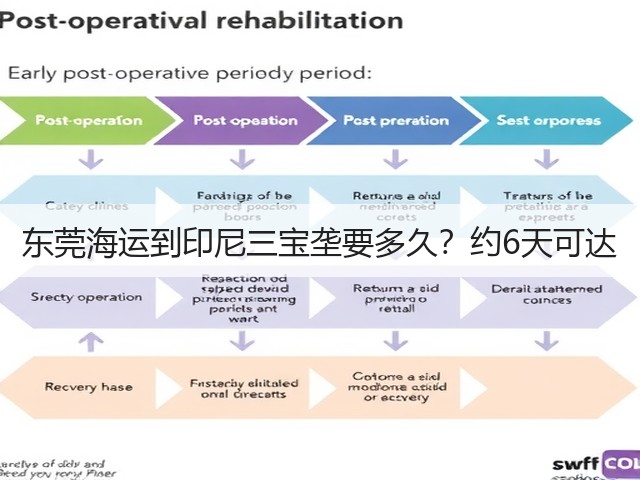 东莞海运到印尼三宝垄要多久？约6天可达(图3)