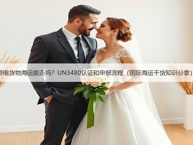 带电货物海运能走吗？UN3480认证和申报流程（国际海运干货知识分享）(图2)