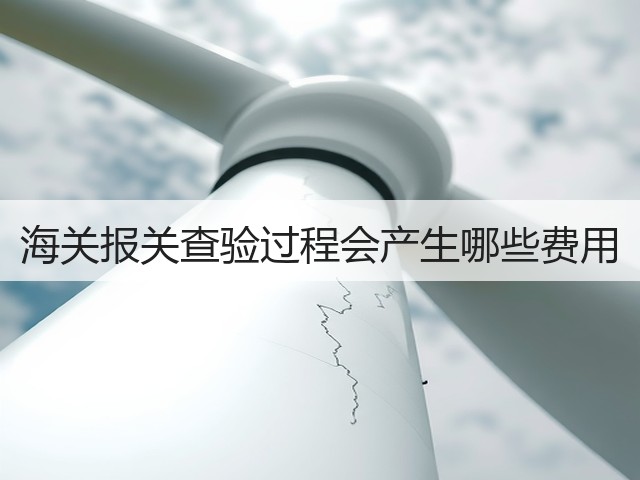 海关报关查验过程会产生哪些费用(图2) 海关报关查验过程会产生哪些费用(图2)