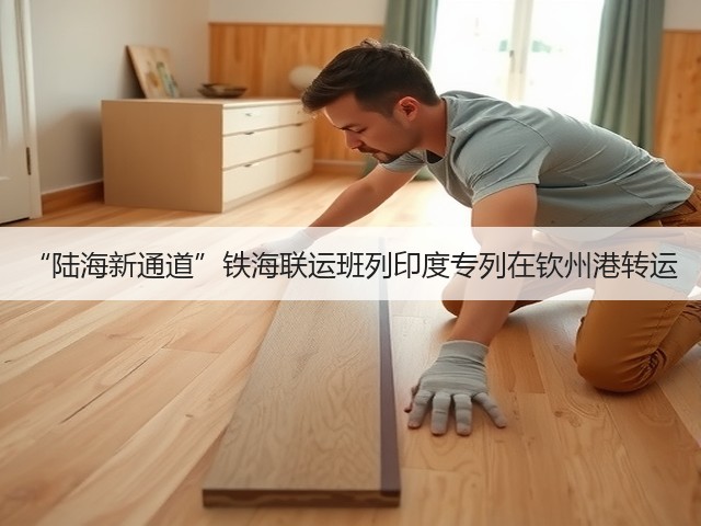 “陆海新通道”铁海联运班列印度专列在钦州港转运(图3)