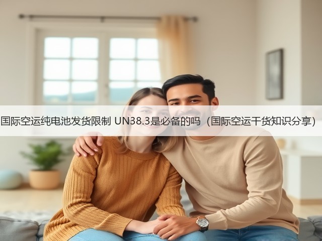国际空运纯电池发货限制 UN38.3是必备的吗(国际空运干货知识分享)(图1) 国际空运纯电池发货限制 UN38.3是必备的吗(国际空运干货知识分享)(图1)