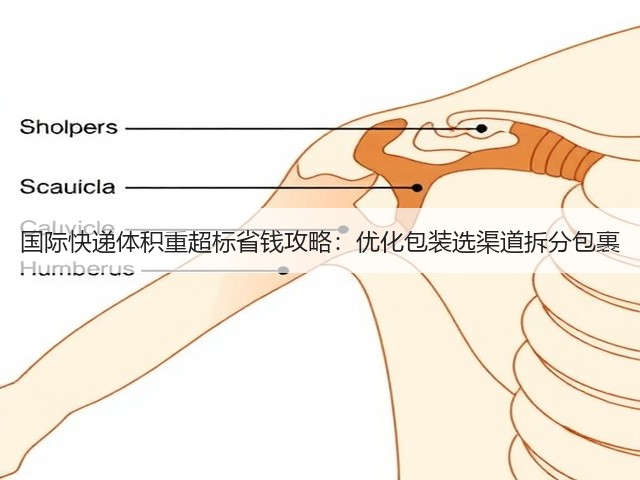 国际快递体积重超标省钱攻略:优化包装选渠道拆分包裹(图2) 国际快递体积重超标省钱攻略:优化包装选渠道拆分包裹(图2)