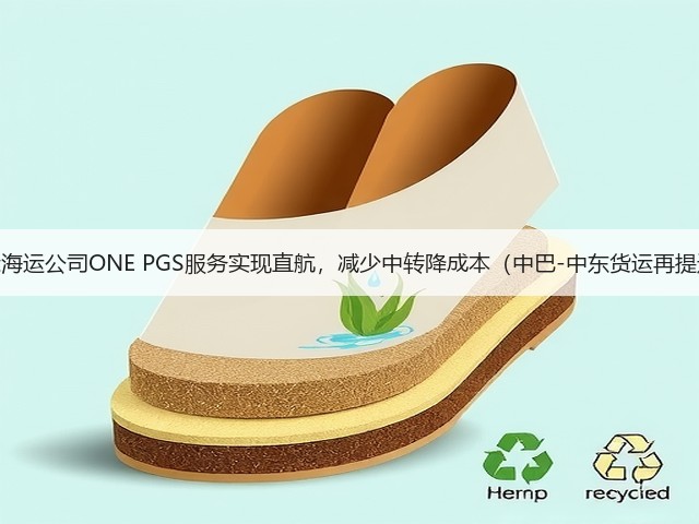 国际海运公司ONE PGS服务实现直航,减少中转降成本(中巴-中东货运再提速)(图3) 国际海运公司ONE PGS服务实现直航,减少中转降成本(中巴-中东货运再提速)(图3)