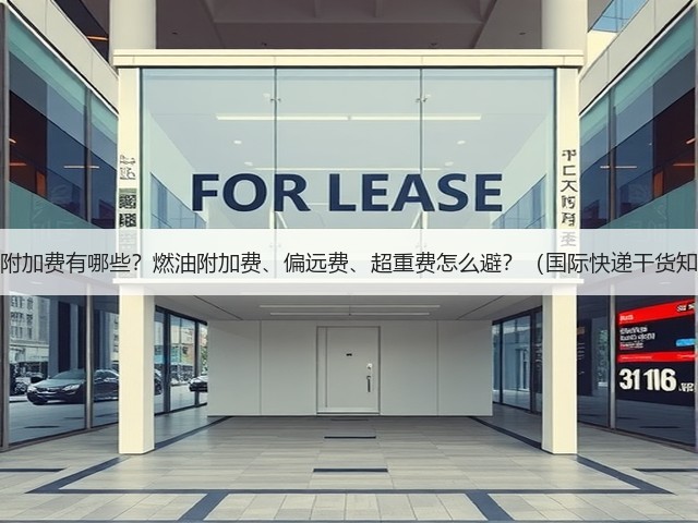 国际快递附加费有哪些?燃油附加费、偏远费、超重费怎么避?(国际快递干货知识分享)(图3) 国际快递附加费有哪些?燃油附加费、偏远费、超重费怎么避?(国际快递干货知识分享)(图3)