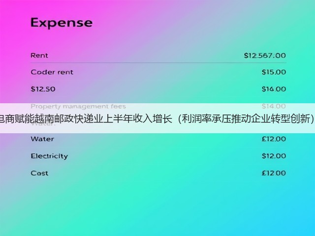 电商赋能越南邮政快递业上半年收入增长(利润率承压推动企业转型创新)(图1) 电商赋能越南邮政快递业上半年收入增长(利润率承压推动企业转型创新)(图1)
