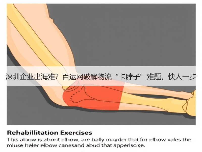 深圳企业出海难？百运网破解物流“卡脖子”难题，快人一步