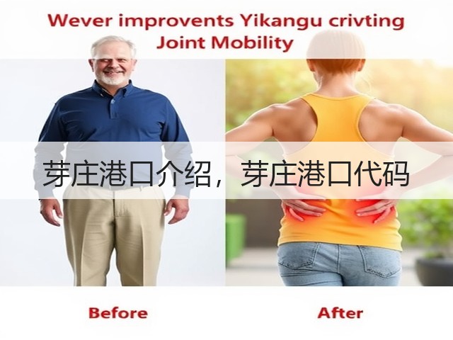 芽庄港口介绍,芽庄港口代码(图2) 芽庄港口介绍,芽庄港口代码(图2)