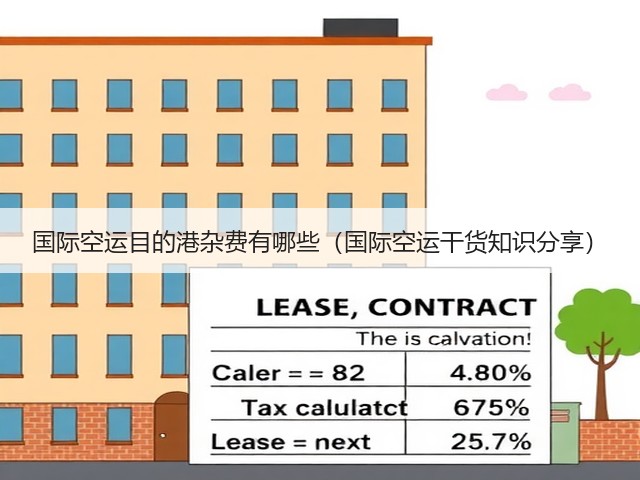 国际空运目的港杂费有哪些（国际空运干货知识分享）(图1)