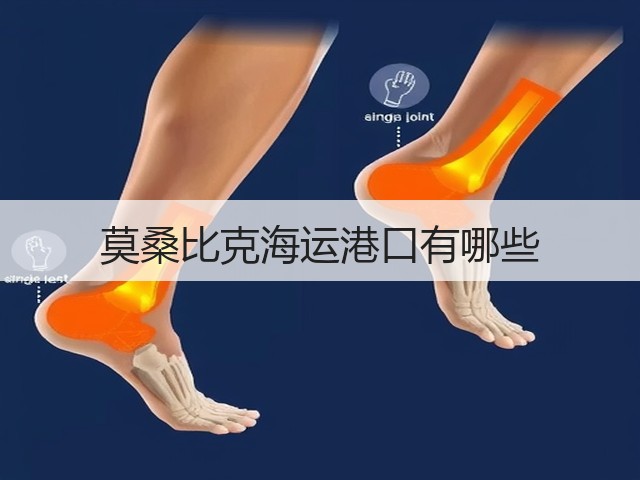 莫桑比克海运港口有哪些(图3) 莫桑比克海运港口有哪些(图3)
