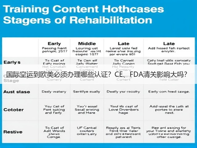 国际空运到欧美必须办理哪些认证?CE、FDA清关影响大吗?(图2) 国际空运到欧美必须办理哪些认证?CE、FDA清关影响大吗?(图2)