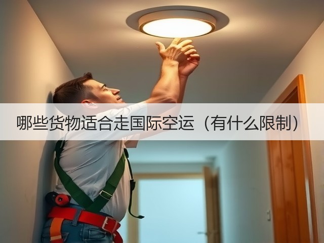 哪些货物适合走国际空运(有什么限制)(图3) 哪些货物适合走国际空运(有什么限制)(图3)