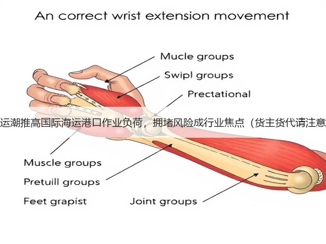 抢运潮推高国际海运港口作业负荷，拥堵风险成行业焦点（货主货代请注意）(图2)
