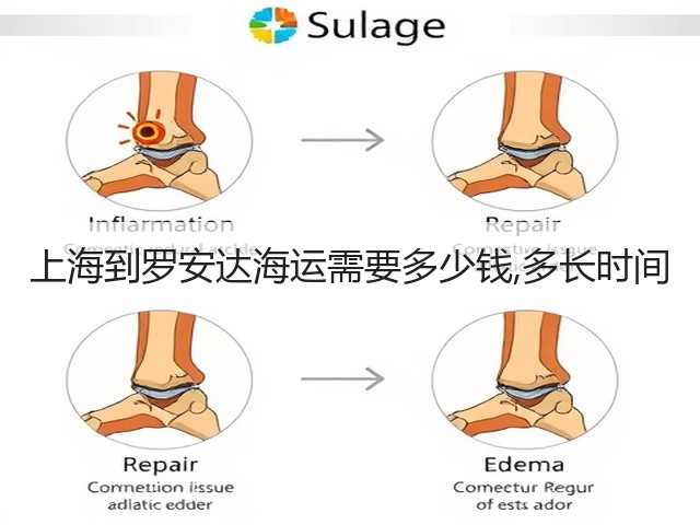 上海到罗安达海运需要多少钱,多长时间(图3) 上海到罗安达海运需要多少钱,多长时间(图3)