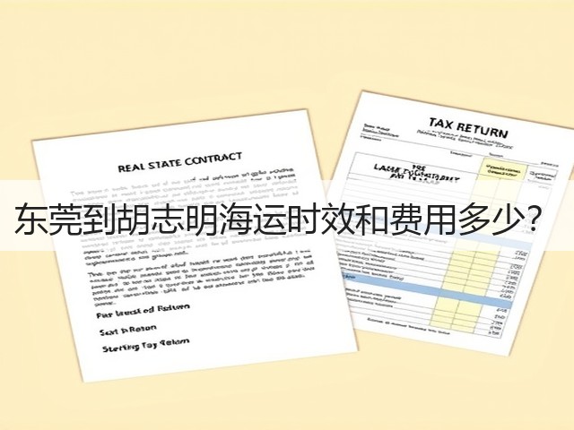 东莞到胡志明海运时效和费用多少?(图3) 东莞到胡志明海运时效和费用多少?(图3)