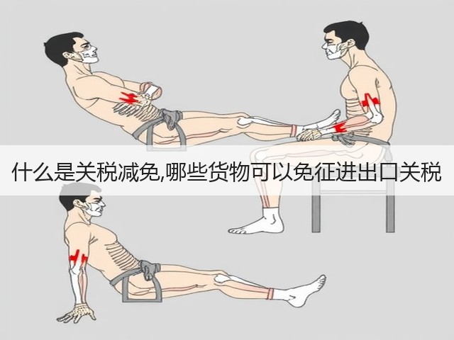 什么是关税减免,哪些货物可以免征进出口关税(图1) 什么是关税减免,哪些货物可以免征进出口关税(图1)