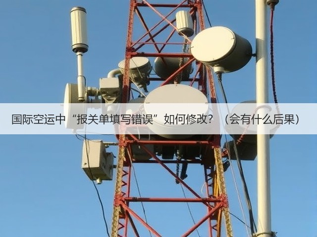 国际空运中“报关单填写错误”如何修改?(会有什么后果)(图3) 国际空运中“报关单填写错误”如何修改?(会有什么后果)(图3)
