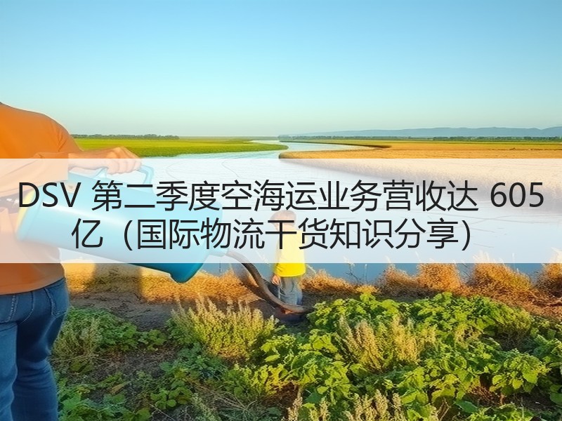 DSV 第二季度空海运业务营收达 605 亿(国际物流干货知识分享) DSV 第二季度空海运业务营收达 605 亿(国际物流干货知识分享)