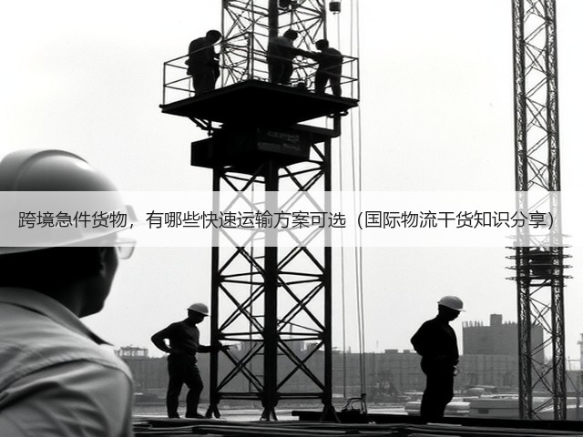 跨境急件货物,有哪些快速运输方案可选(国际物流干货知识分享)(图3) 跨境急件货物,有哪些快速运输方案可选(国际物流干货知识分享)(图3)