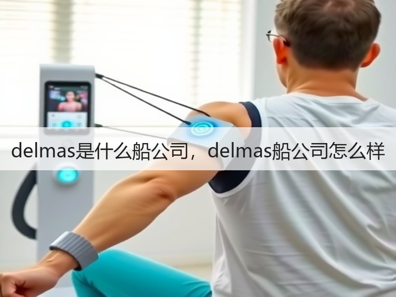 delmas是什么船公司，delmas船公司怎么样