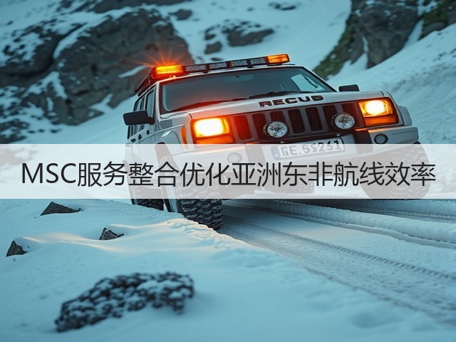 MSC服务整合优化亚洲东非航线效率(图2)