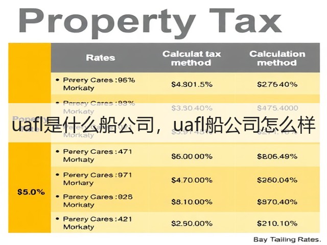 uafl是什么船公司,uafl船公司怎么样(图2) uafl是什么船公司,uafl船公司怎么样(图2)