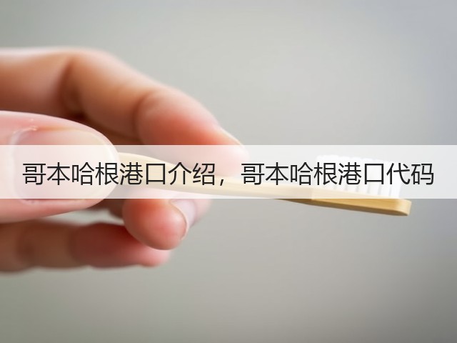 哥本哈根港口介绍,哥本哈根港口代码(图3) 哥本哈根港口介绍,哥本哈根港口代码(图3)