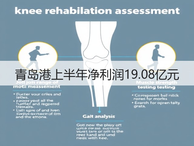 青岛港上半年净利润19.08亿元(图2)