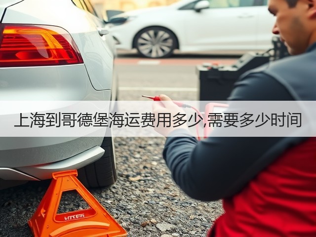 上海到哥德堡海运费用多少,需要多少时间(图1) 上海到哥德堡海运费用多少,需要多少时间(图1)